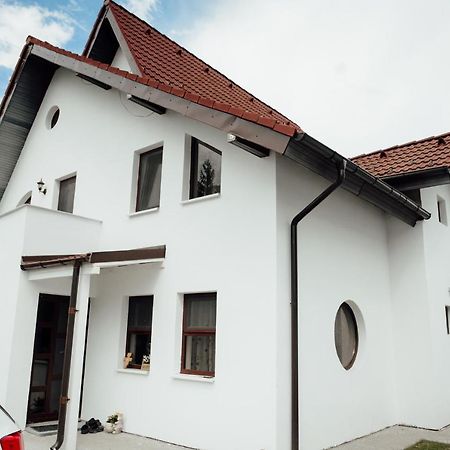 Autentic Adorabil Apartment Albestii Paminteni Exterior foto