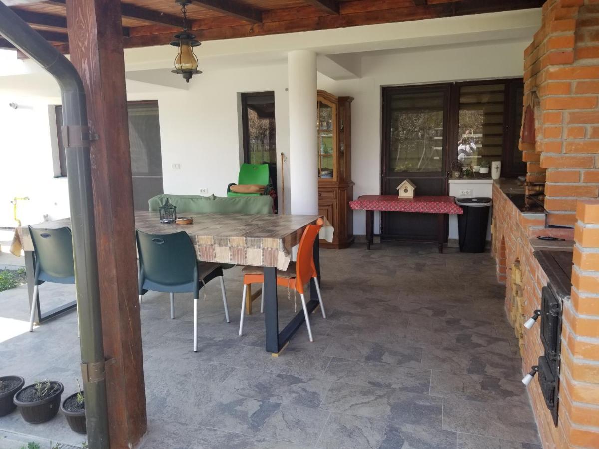 Autentic Adorabil Apartment Albestii Paminteni Exterior foto