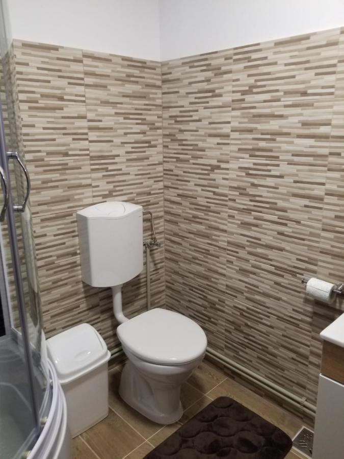 Autentic Adorabil Apartment Albestii Paminteni Exterior foto