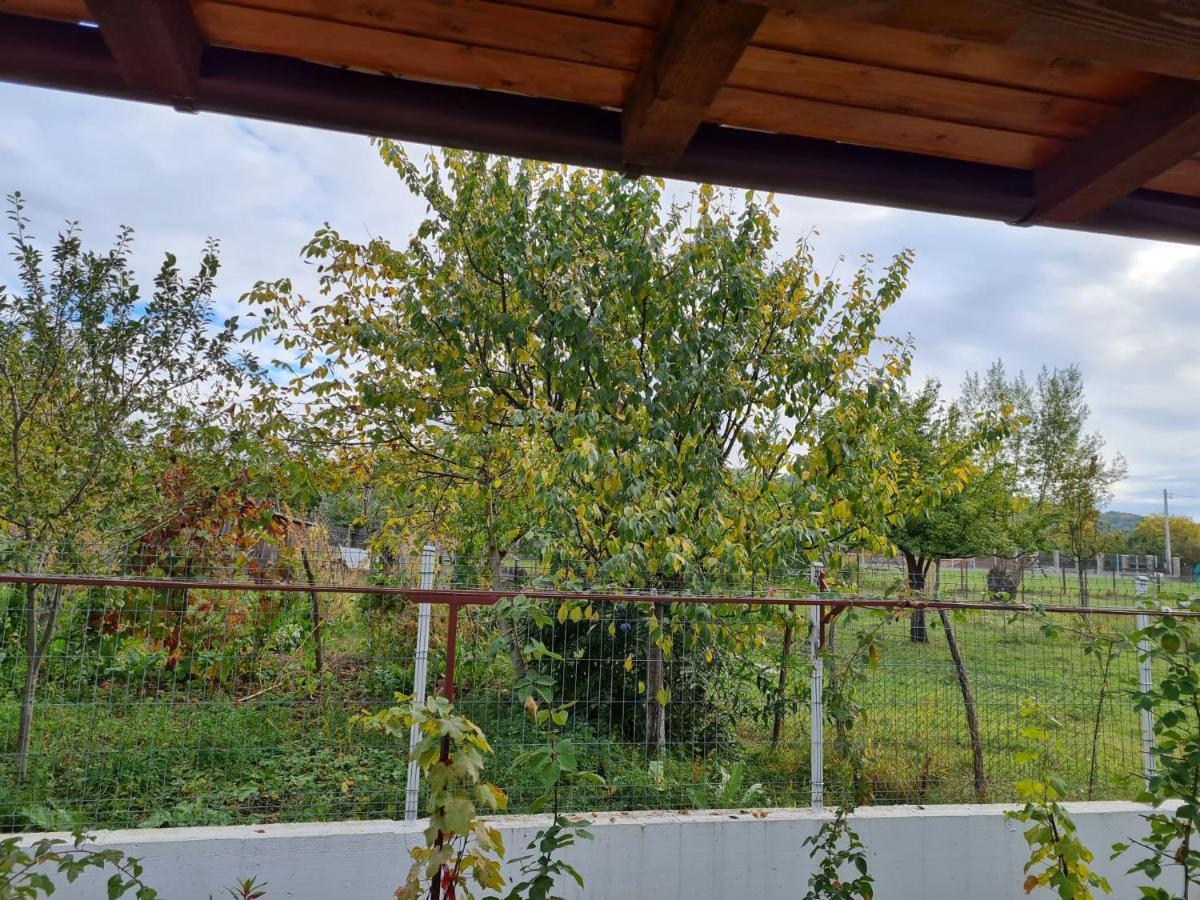 Autentic Adorabil Apartment Albestii Paminteni Exterior foto